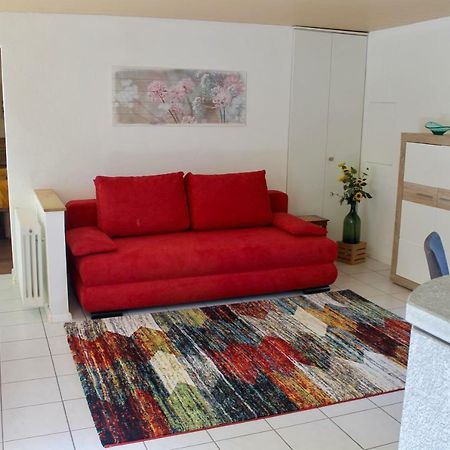 Casa Ortensia Apartment Gambarogno ภายนอก รูปภาพ