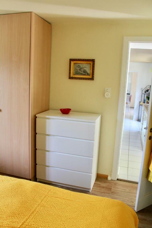 Casa Ortensia Apartment Gambarogno ภายนอก รูปภาพ