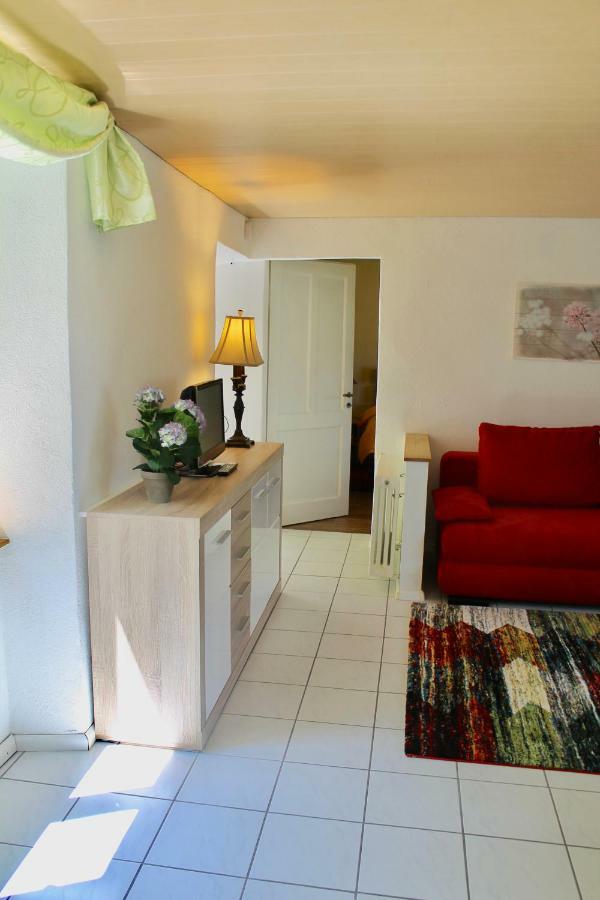 Casa Ortensia Apartment Gambarogno ภายนอก รูปภาพ